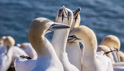 开云体育娱乐-职业运动员退役后就业支持政策调研，职业运动员退役后从事什么