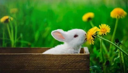 开云平台-沙特联赛砸钱抢人，欧洲球星转会潮涌现，沙特进欧洲联赛的球员