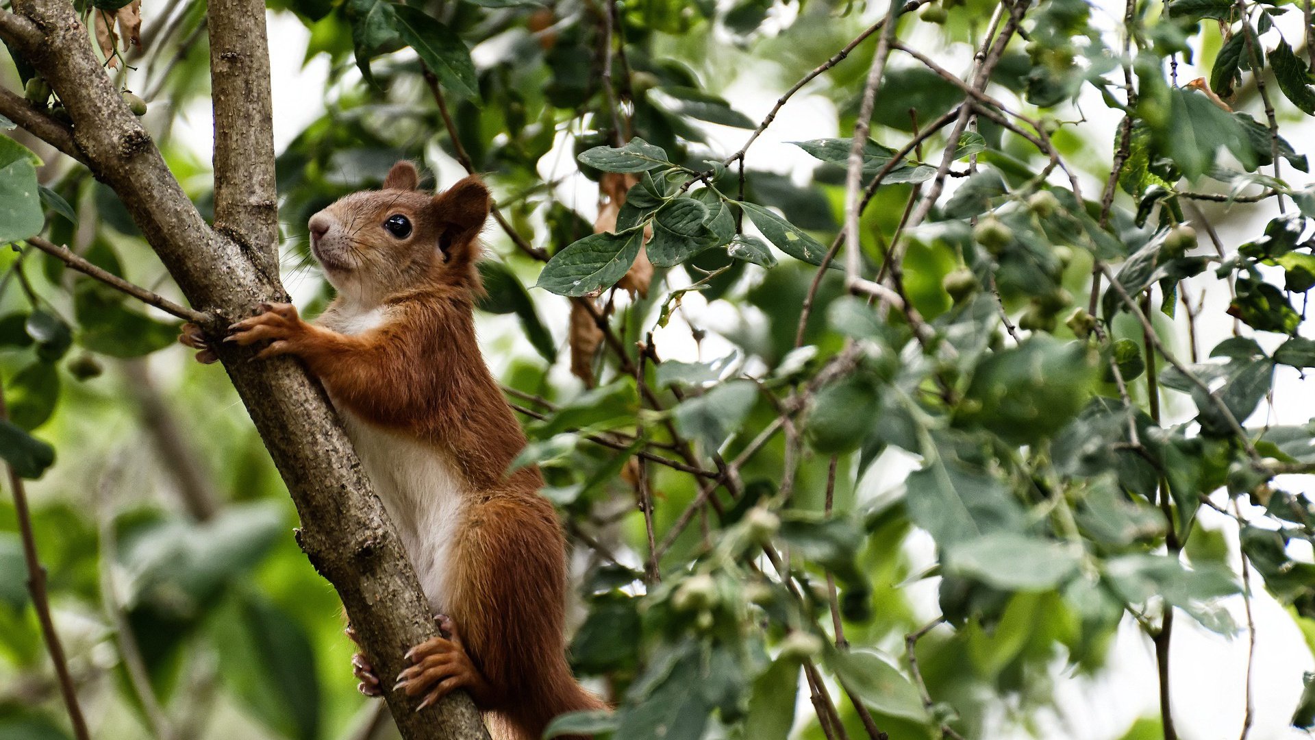 _掘金爆冷!逆转强敌夺取关键胜利_,掘金专栏