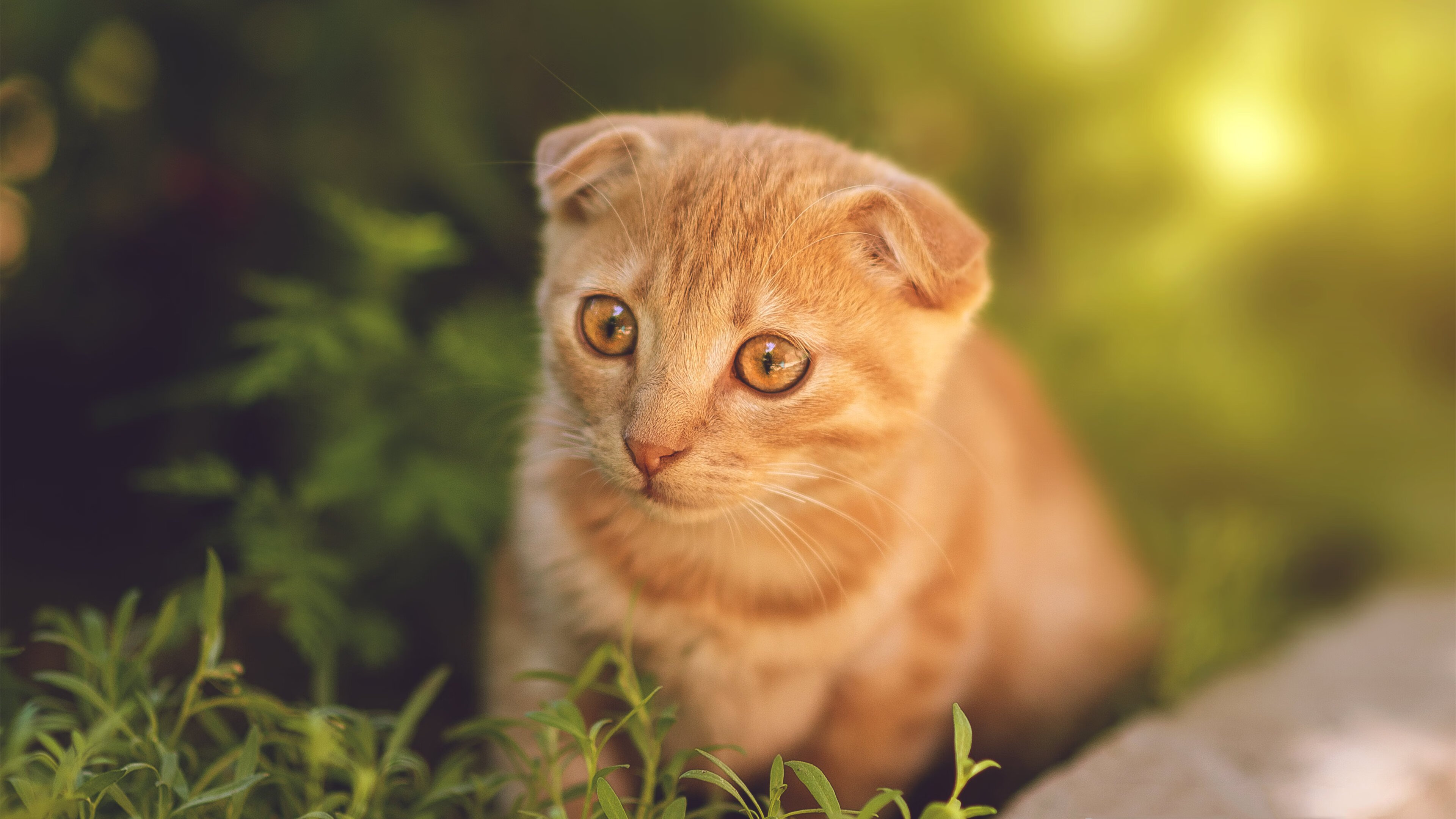 “行走大运河”等品牌活动贯穿全年各季,吸引大量参与者,行走大运河全民健身