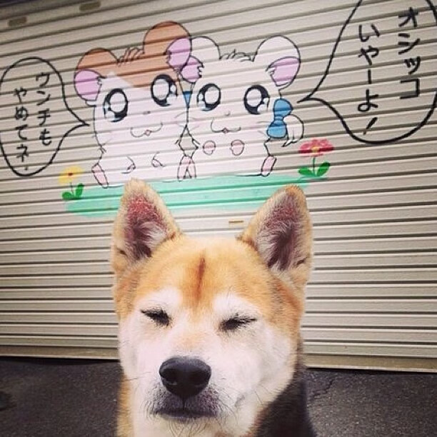 开云体育下载-“飘逸漂移：弯道飞舞的速度艺术”，漂移入弯教学