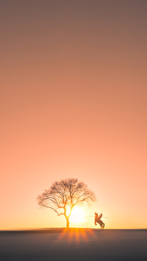 《守望先锋世界锦标赛,策略比拼震撼全场》,守望先锋2021竞技