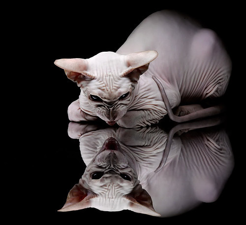 开云官方平台-全国青少年“挑战极限”户外篮球趣味赛在西藏拉开序幕，激发青少年勇气