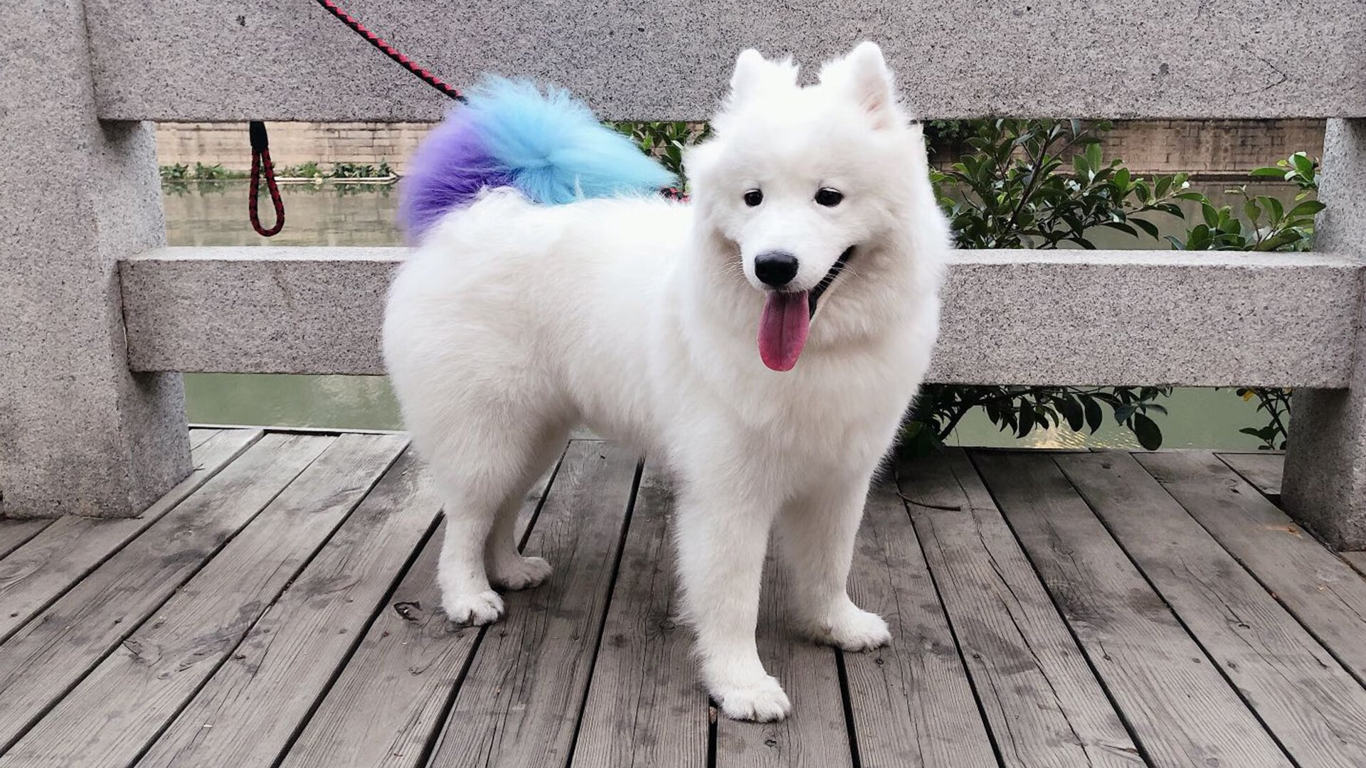 开云体育APP下载-国际影响力：NBA在全球的文化推广新路径，nba体现的美国文化