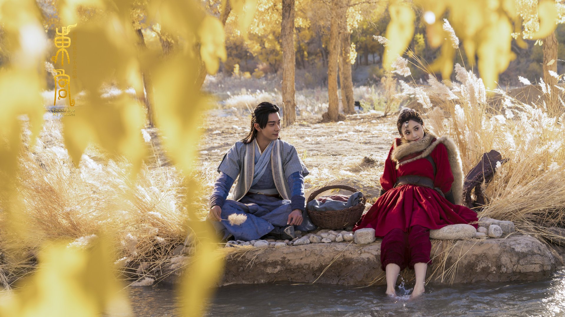 开云网页版-夜空星辰瑜伽静修，身心兼修的运动新体验，星空瑜伽馆