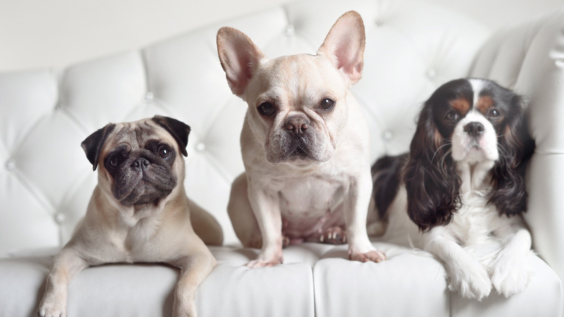 日本足球青训成果显著,日本青少年足球青训大纲