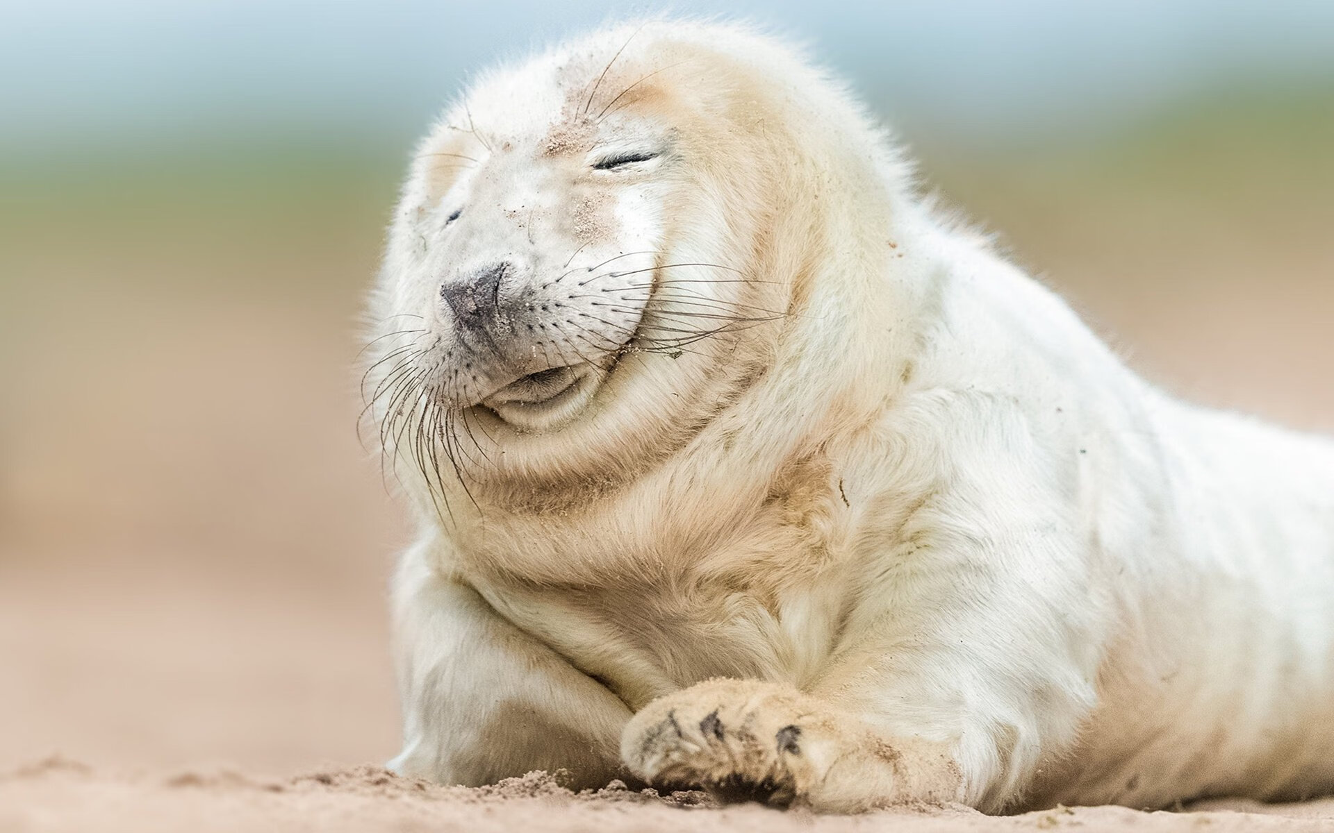 比利时田径队在本届奥运会上共获3枚奖牌,比利时奥运会奖牌榜