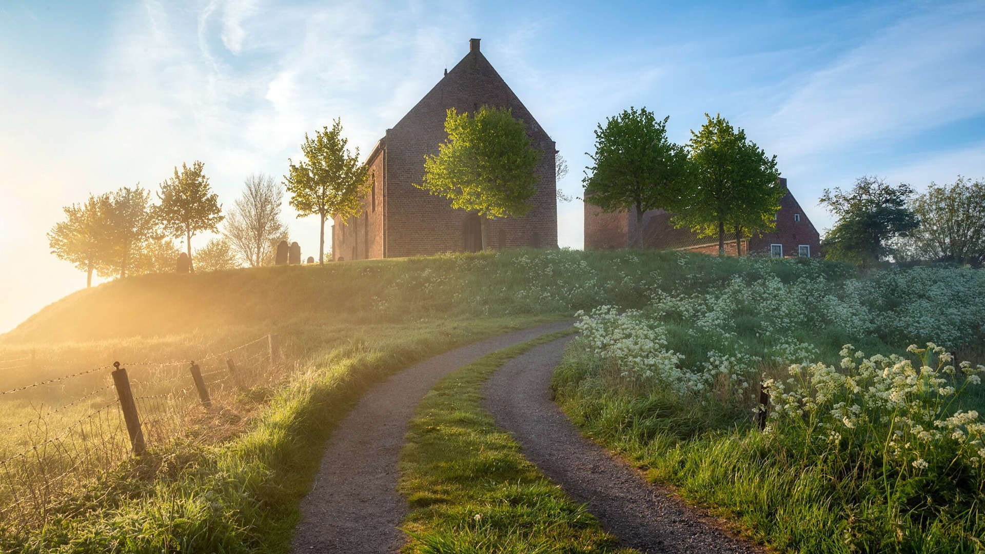 法国举办篮球社区联赛，法国篮球队 fall