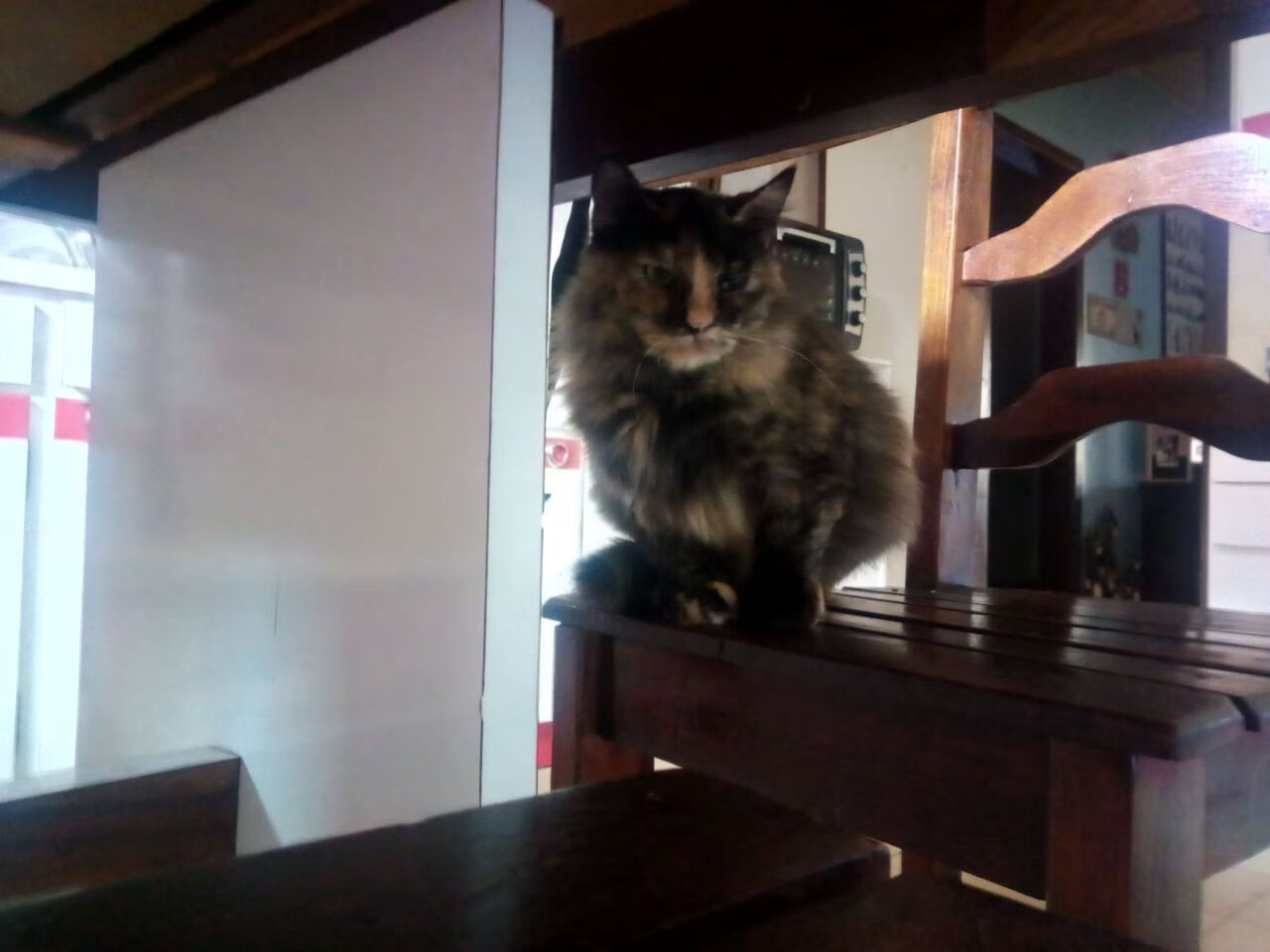 法国新星登场即破门,成唯一亮点,法国新球星