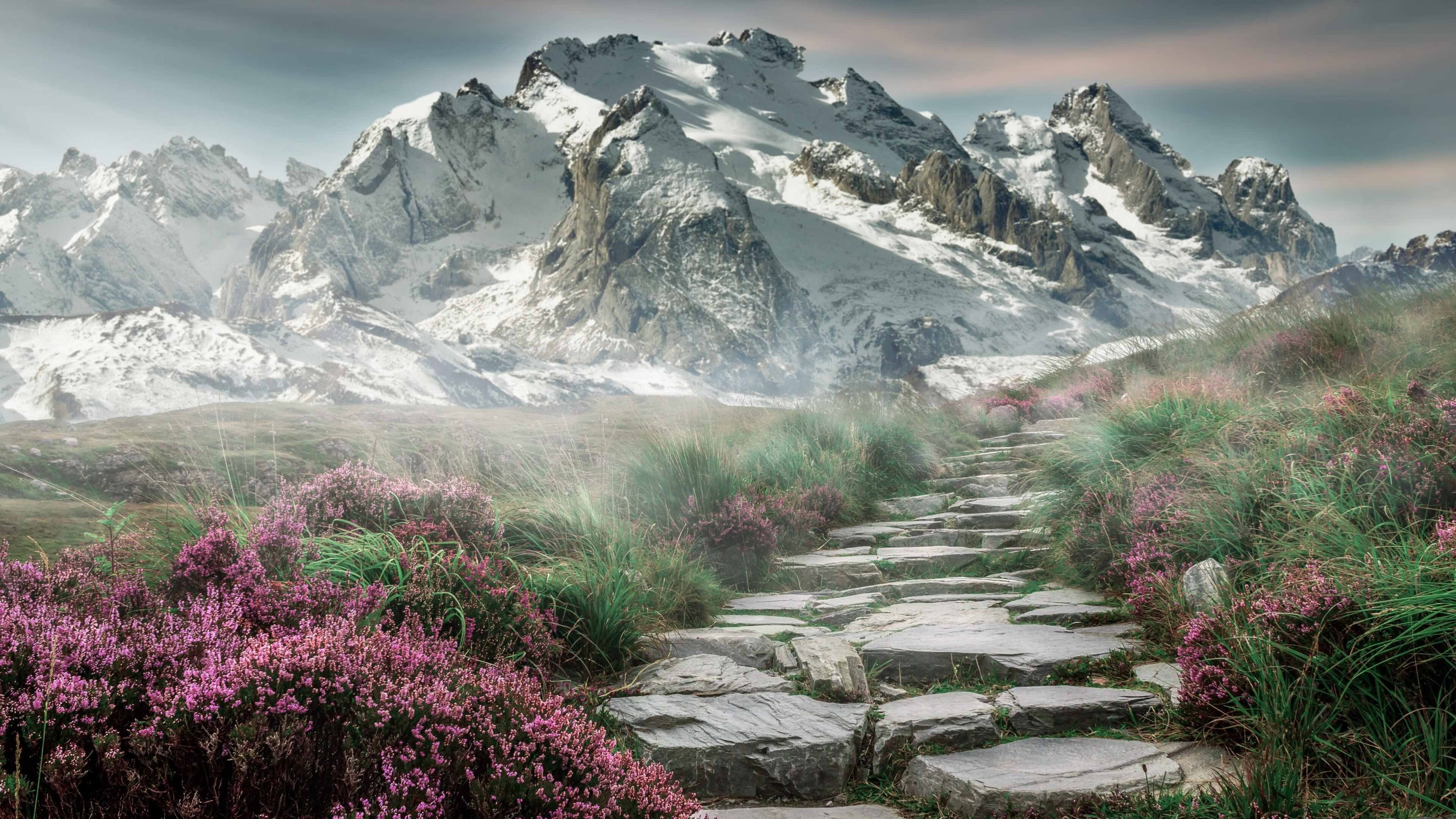 LCS战队商业运营能力提升,lck运营体系