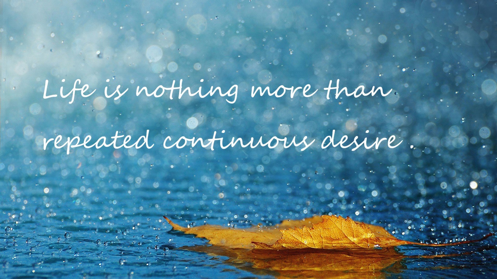 开云体育移动版-利物浦在2024年英超联赛中获得亚军，利物浦英超2021