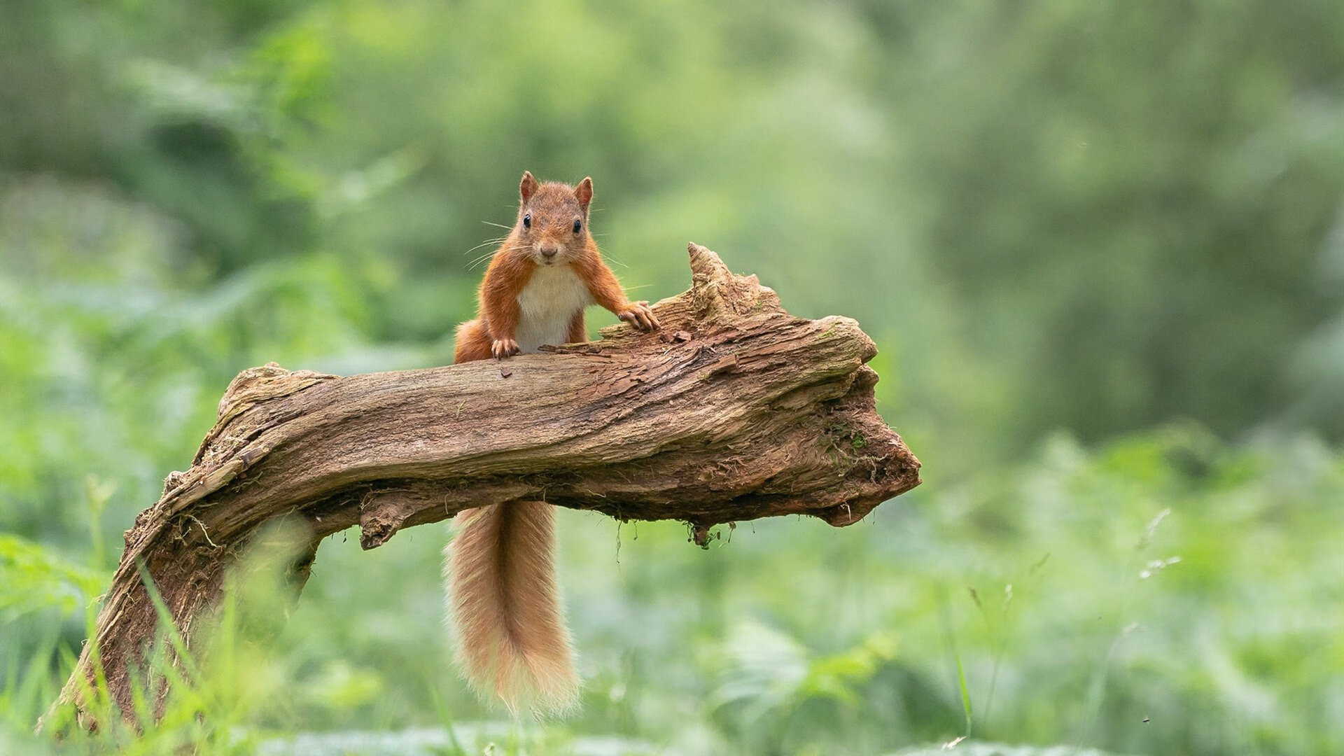 kaiyun-史上最强战队组合 期待彪炳出众表现，彪炳战绩