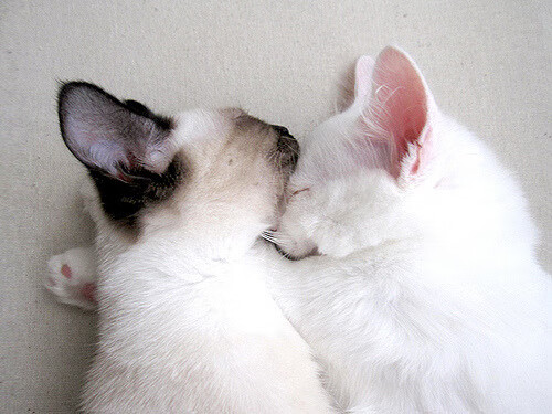 巴塞罗那惨败被淘汰,门兴晋级八强,巴塞罗那的门将叫什么名字