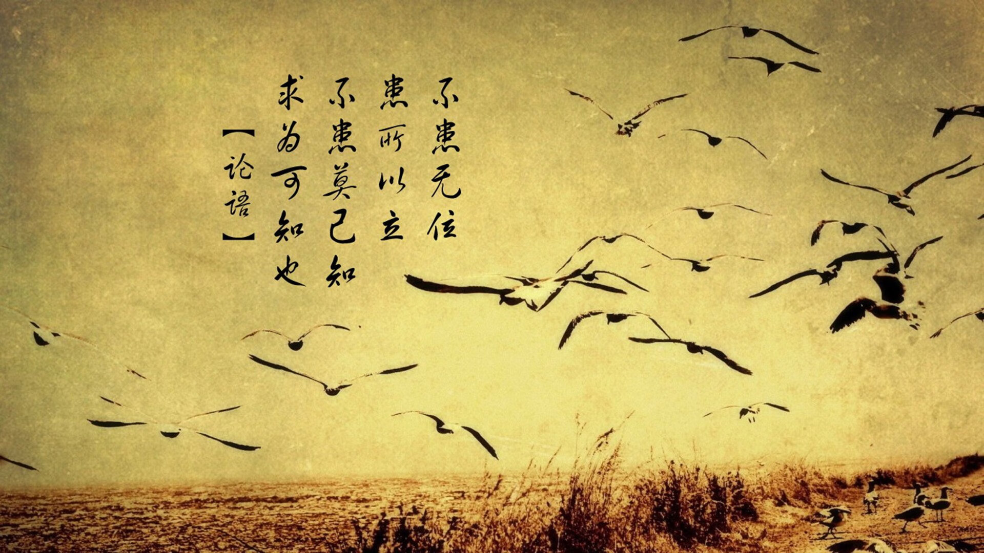 开云官方-电竞游戏赛事数据挖掘技术及智能分析平台设计，电竞赛事分析软件