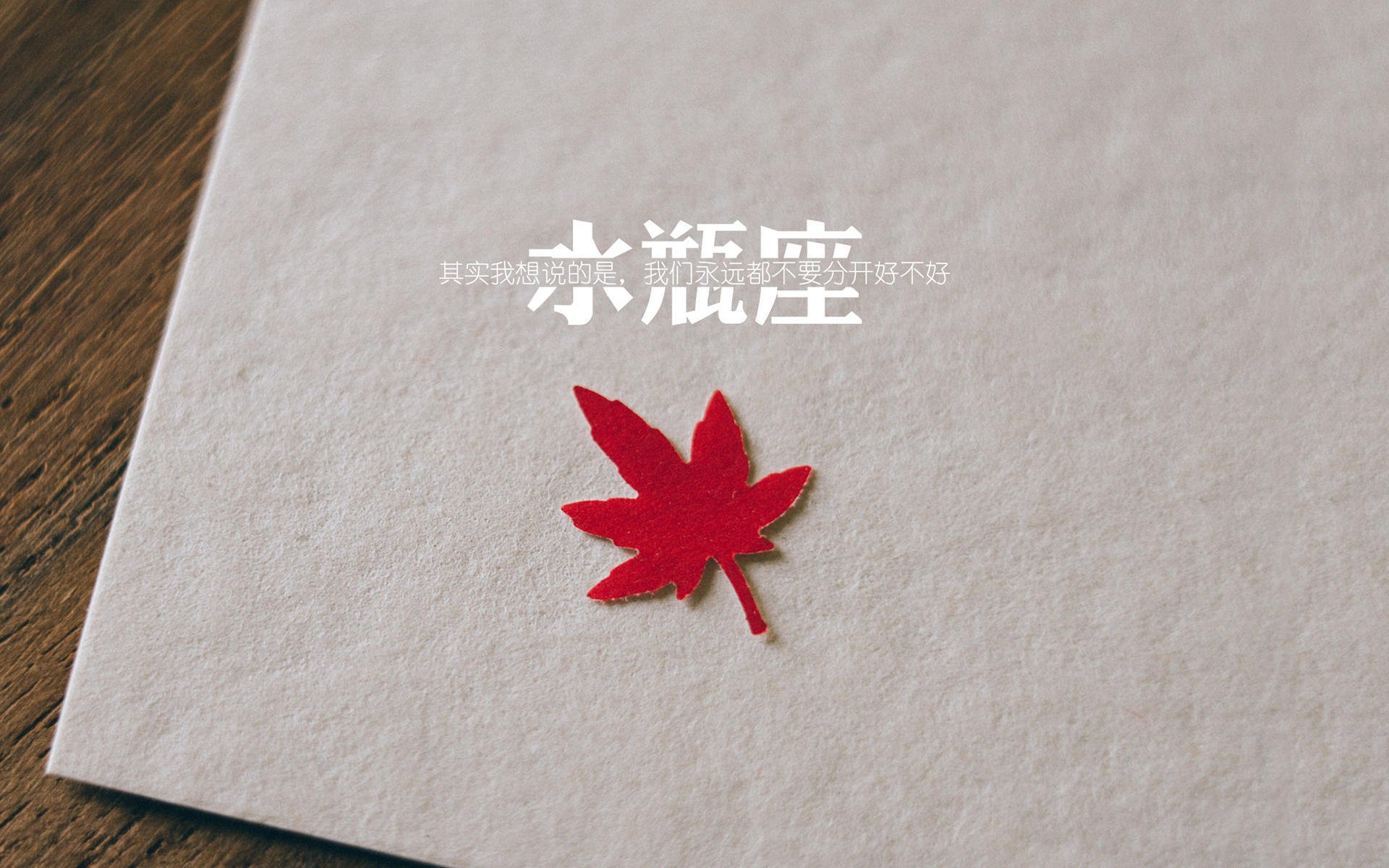 世界青年攀岩锦标赛女将摘金,攀岩世锦赛冠军