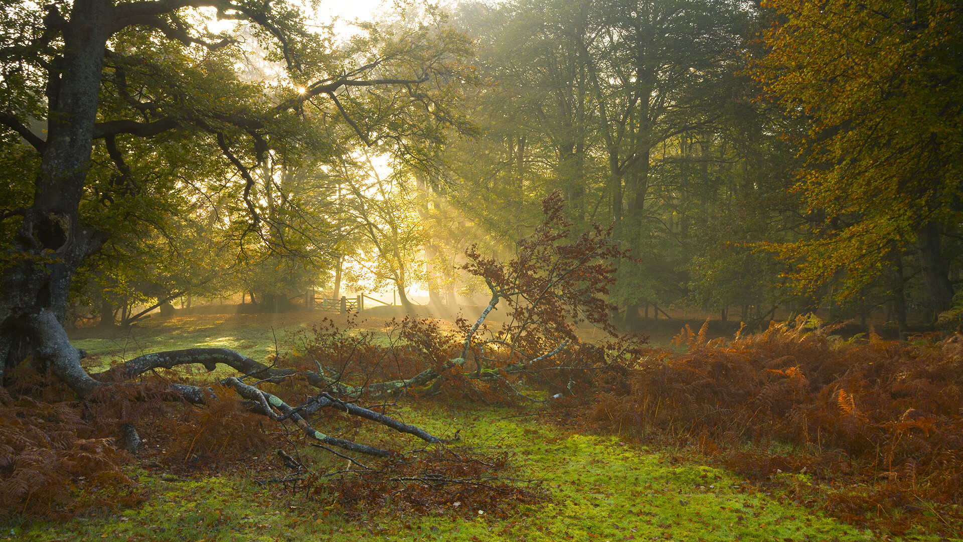 中超球队比赛中战术中断恢复时长统计,中超联赛暂停