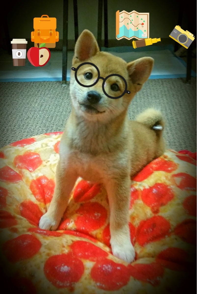 体育新闻中心发布体育数据隐私保护白皮书,最新的体育新闻报道在哪看