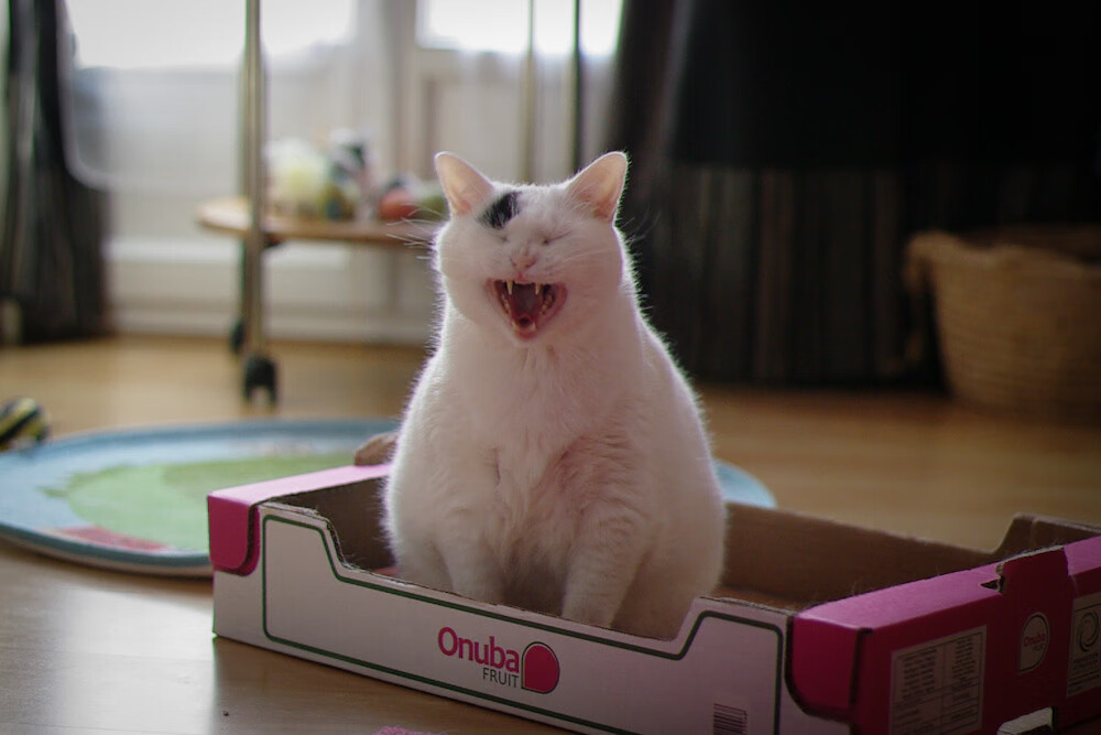 中小学篮球特色课程开发促进全面素质教育，中小学篮球教学方法有哪几种