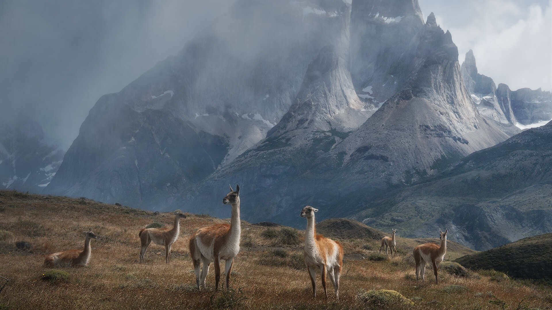 开云在线直播-南非自由泳强将状态正佳，南非游泳
