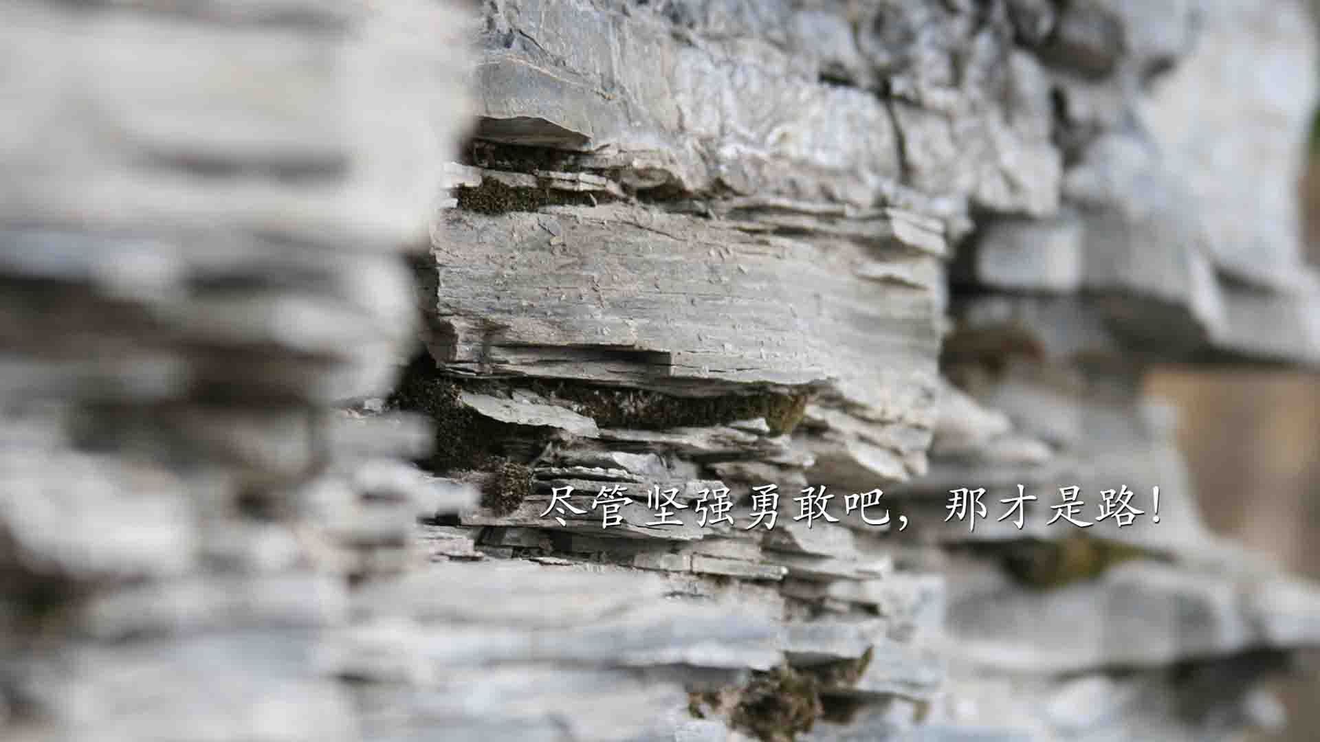 开云体育入口-巴西队在南美预赛中领先，出线几无悬念