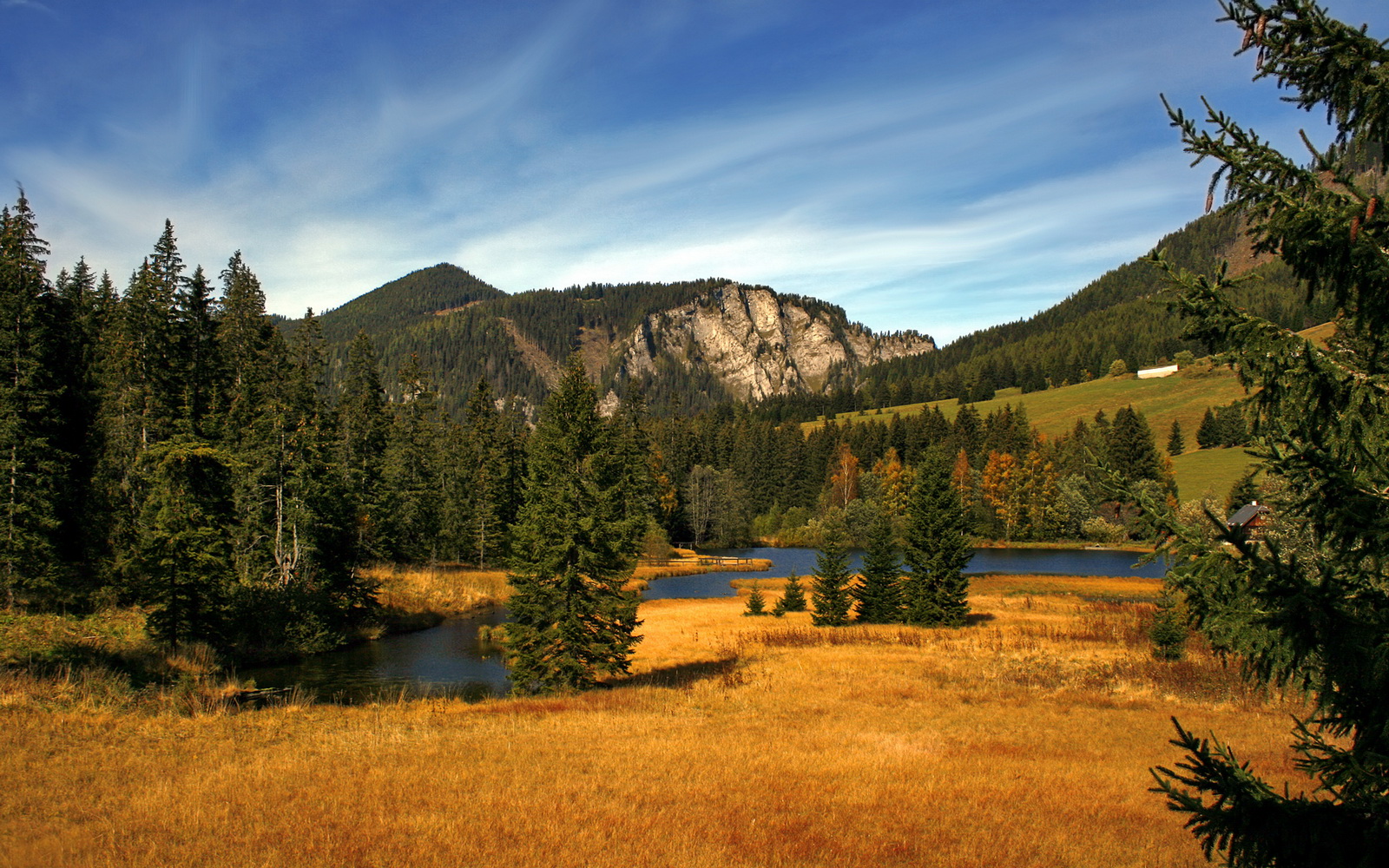 德甲强强对抗:力量与技巧的全面展现,德甲强度