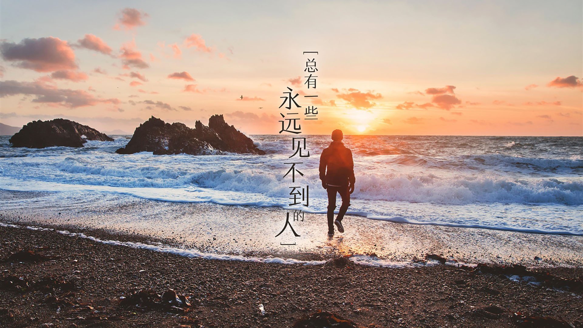 kaiyun-德甲攻守转换：节奏快，精彩无限！，新赛季德甲用球