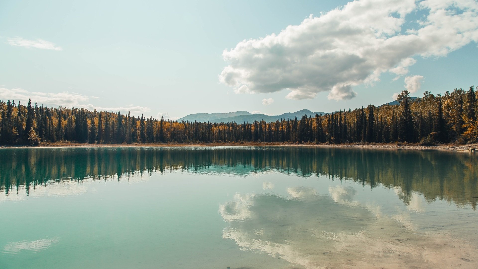 美洲杯明星豪门争锋：个人技术与团队配合完美融合，美洲杯著名球星