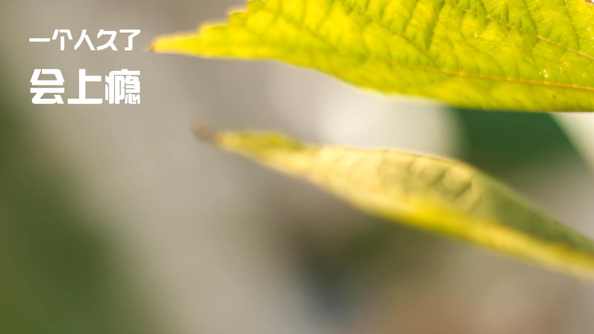 开云-青训营引入科学训练方法提升选手综合能力，成为青训营选手的条件