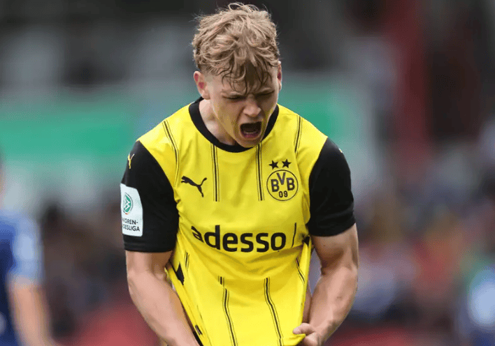 包含多特蒙德的新星：年轻力量的崛起的词条