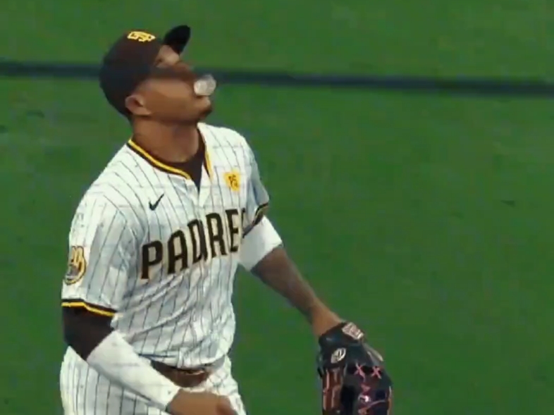 关于职业运动员生活的另一面：家庭与训练的信息