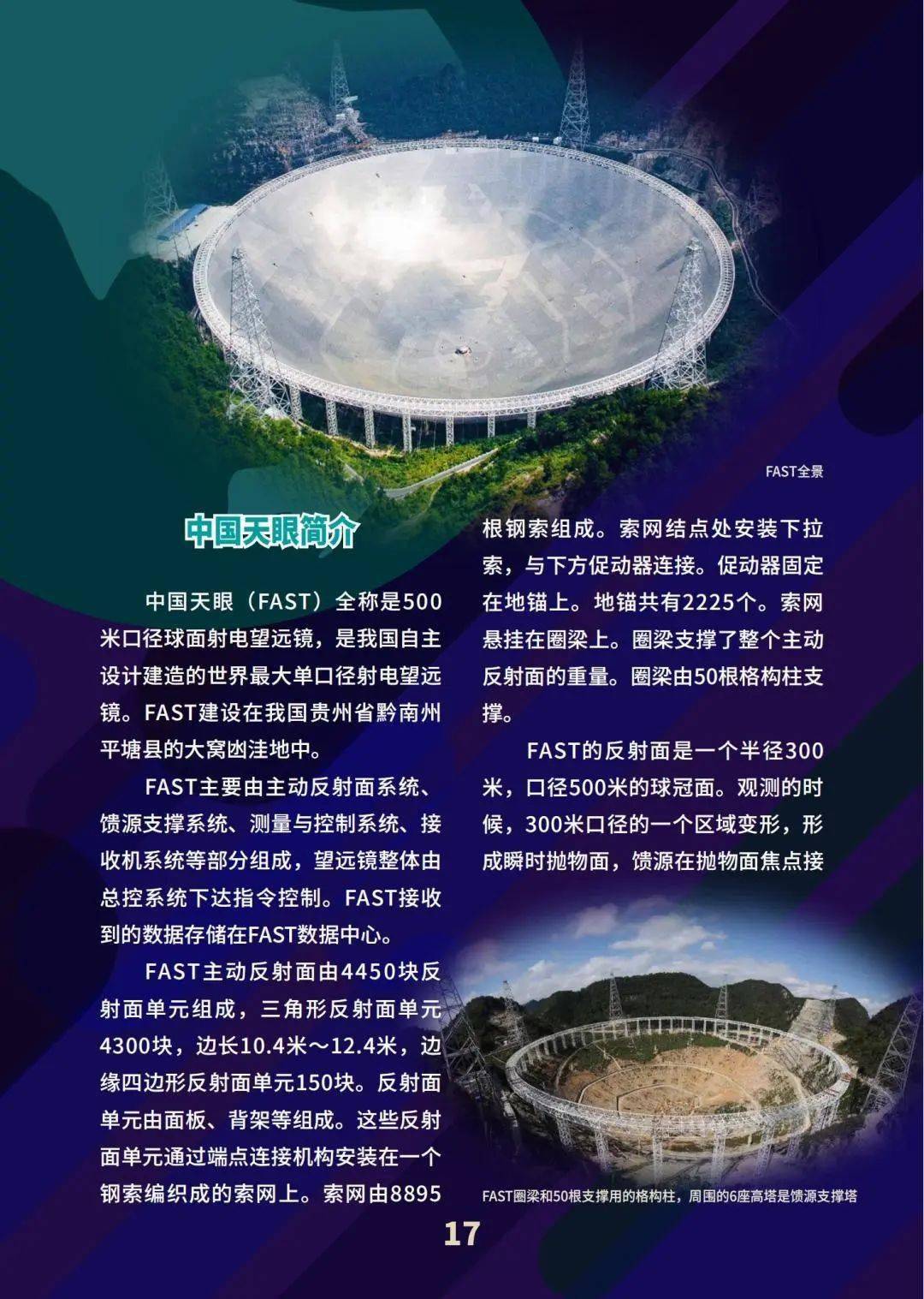 各国对青少年参赛的政策支持与影响 各国对青少年参赛的政策支持与影响