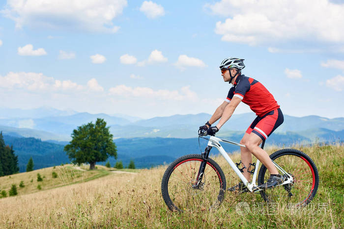 职业运动员的生活:赛季外的真实故事的简单介绍 职业运动员的生活:赛季外的真实故事的简单介绍
